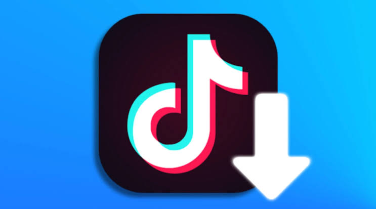 TikTok Video Downloader